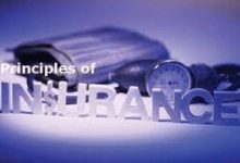 Vital Rules/Principles of Insurance You Should Know