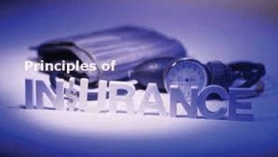 Vital Rules/Principles of Insurance You Should Know